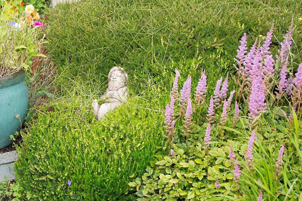 Doireliath Bed & Breakfast Bantry 3*,  Ireland
